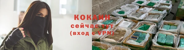 индика Абинск