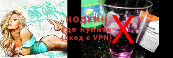 индика Абинск